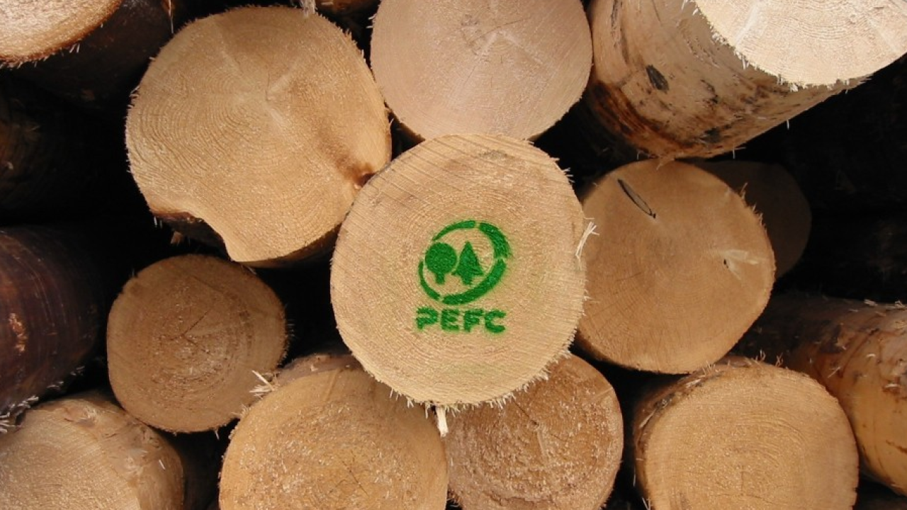 Rapporto PEFC 2026: crescono foreste e imprese certificate, entrano tre nuove regioni
