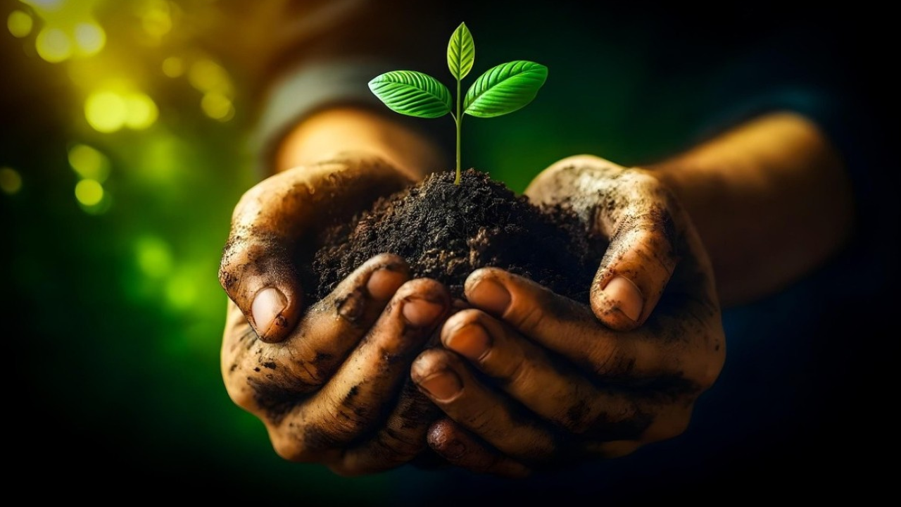 Studio italiano rivela: fermare il greenwashing necessario ma non basta, senza incentivi l’ambiente non migliora