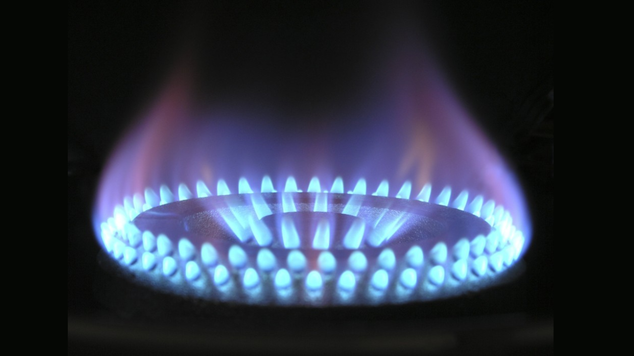 Gemini ha detto Gas Più Energie punta sull'intelligenza artificiale per un servizio clienti su misura