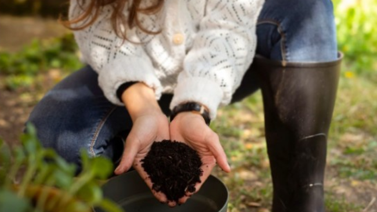 Agricoltura sempre più green: quasi un’azienda su due investe in sostenibilità oltre i limiti di legge