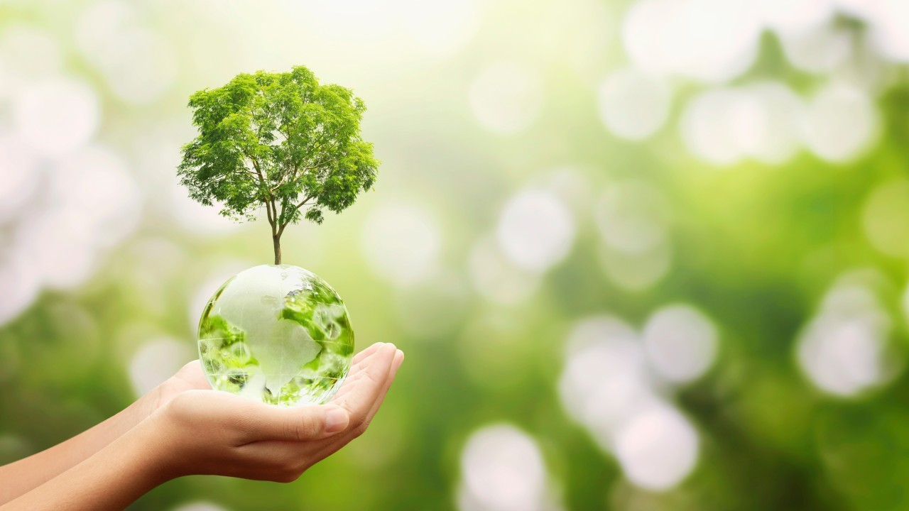 Decarbonizzazione: per le imprese italiane i benefici del Net Zero superano i costi