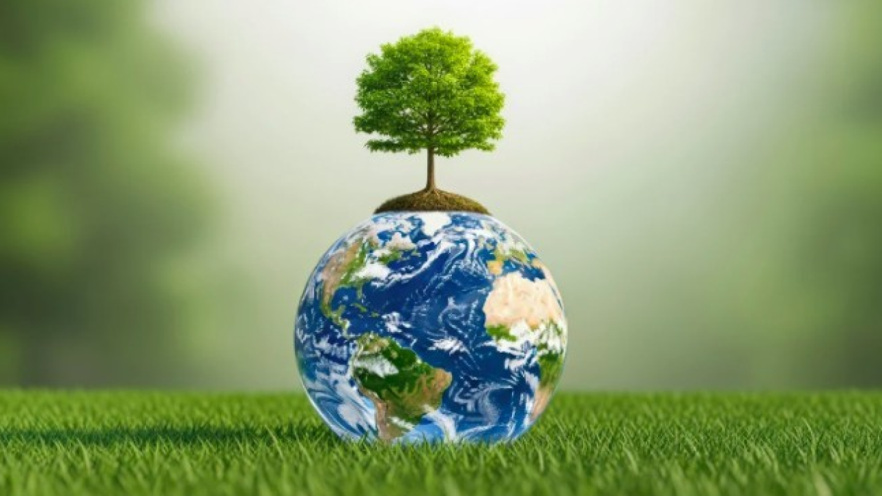 Sostenibilità Digitale: il mercato corre, ma le micro-imprese restano al palo