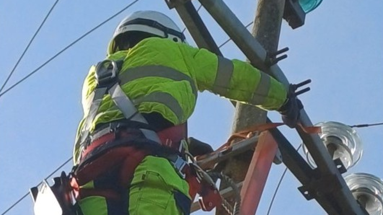 Il Gruppo Enercom investe sul futuro: torna l'Academy per i tecnici delle reti elettriche