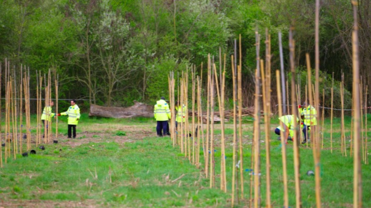 Da fabbrica di ordigni a bosco urbano: la nuova vita dell'area Ex Sipe a Spilamberto