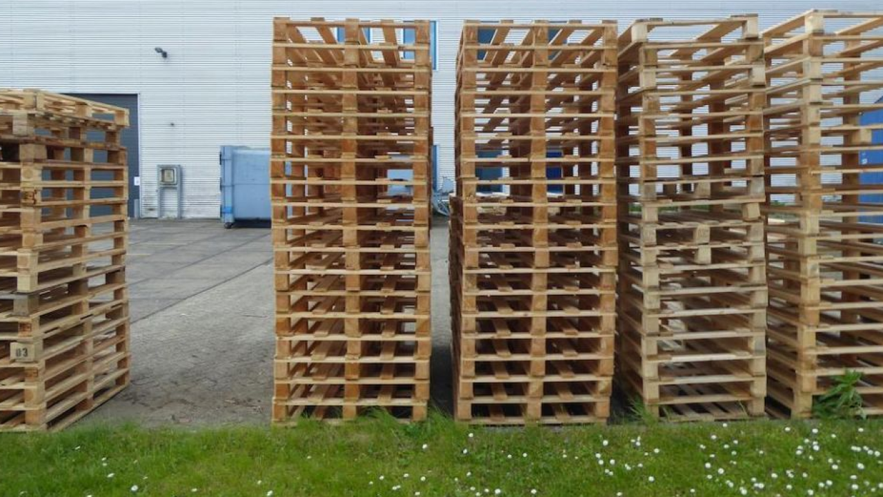 Sicurezza alimentare e Regolamento PPWR: la filiera del legno accelera verso la transizione green