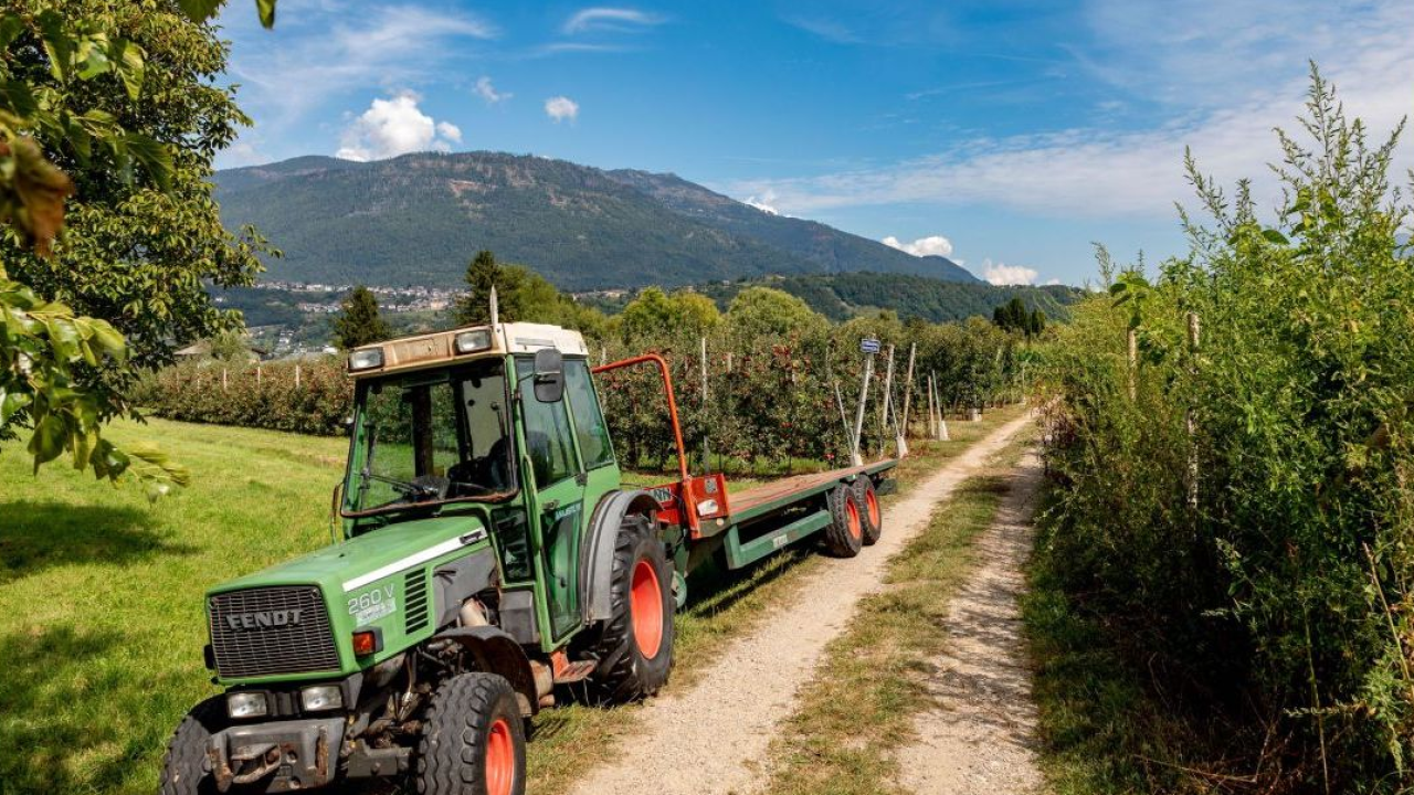 Agricoltura di montagna: Regione Lombardia stanzia 2,8 milioni di euro